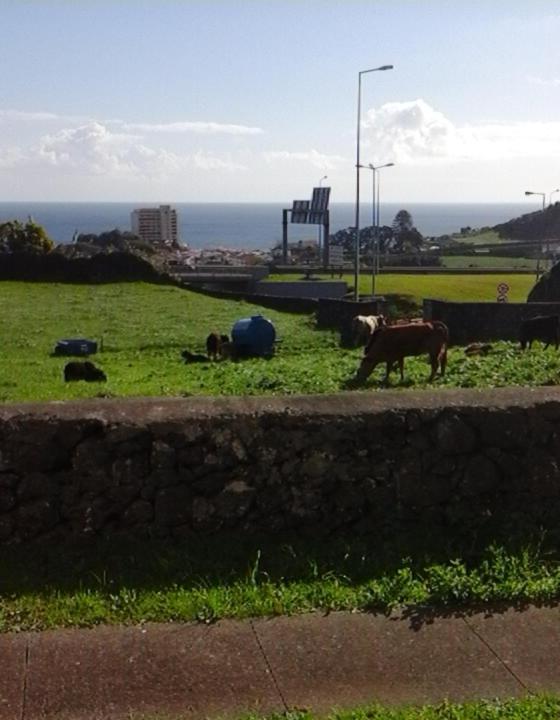 Apartament Ocean View Flat Ponta Delgada Zewnętrze zdjęcie